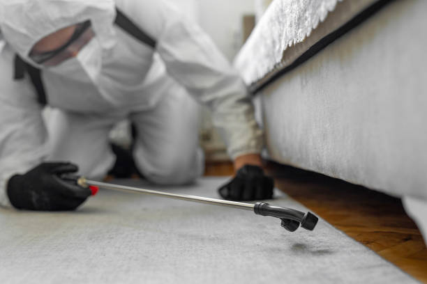 Professional Termite Control technician working in Hopkins County County, TX